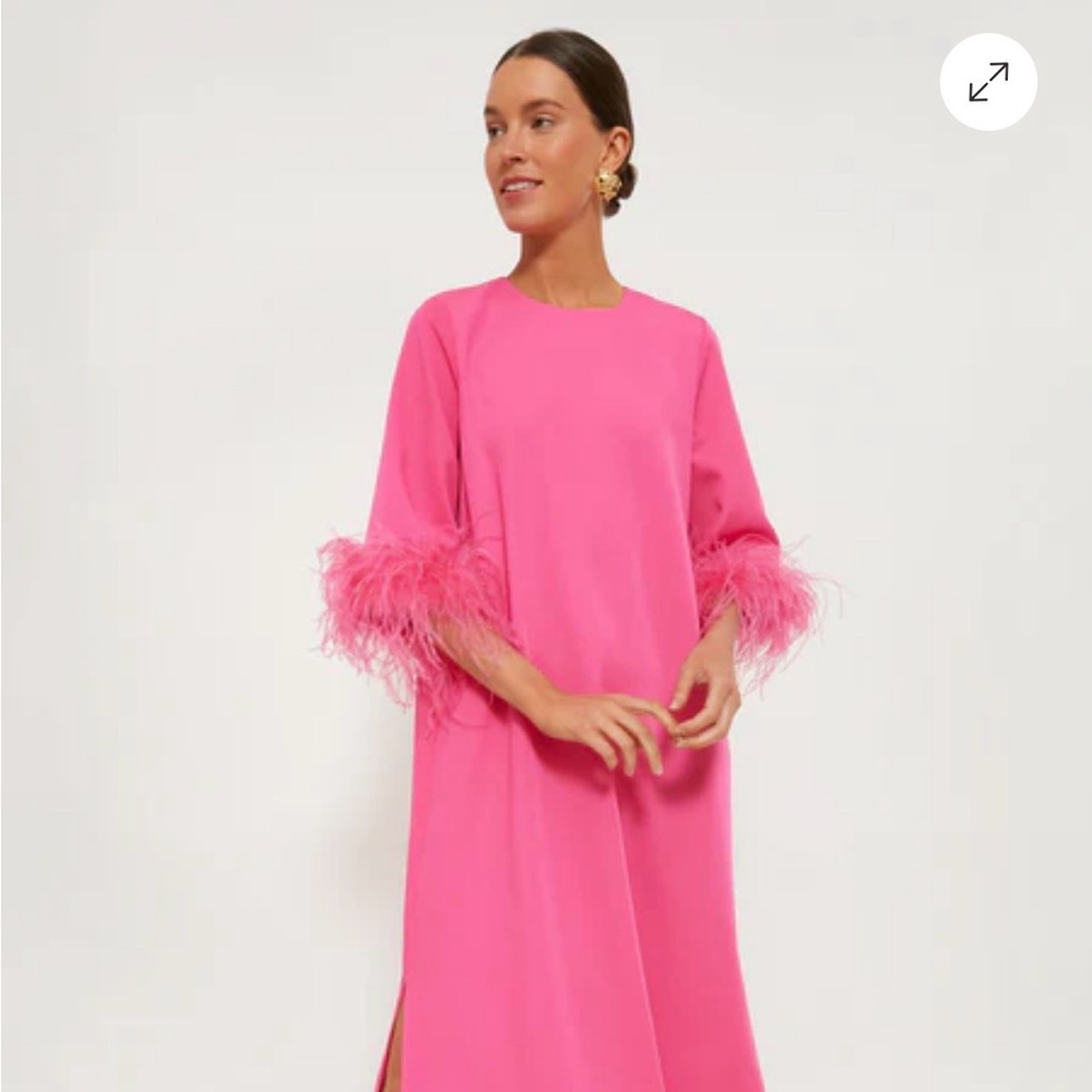 Tuckernuck Vibrant Pink Feather Sleeve Dress